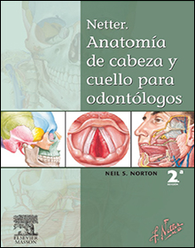 Sistema estomatognatico arturo manns pdf